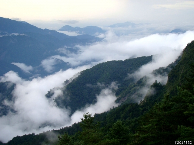 2012-8-12-13塔塔加麟趾山古道逍遙遊