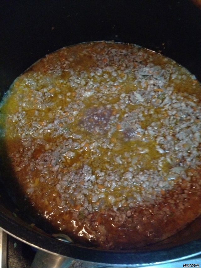 Ragu' alla bolognese 義大利肉醬