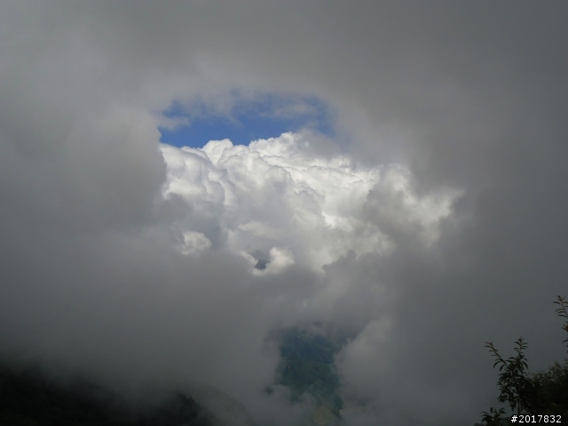 2012-8-12-13塔塔加麟趾山古道逍遙遊