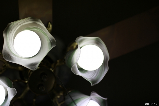 請大家幫忙看一下這鏡頭 Canon 85mm 1.2 L II