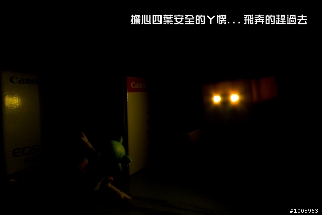 Canon EOS 5D MARK III開箱文之四葉與阿愣尋寶記