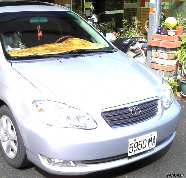 我的車子被偷了...車牌5950-MA(銀色、有天窗)