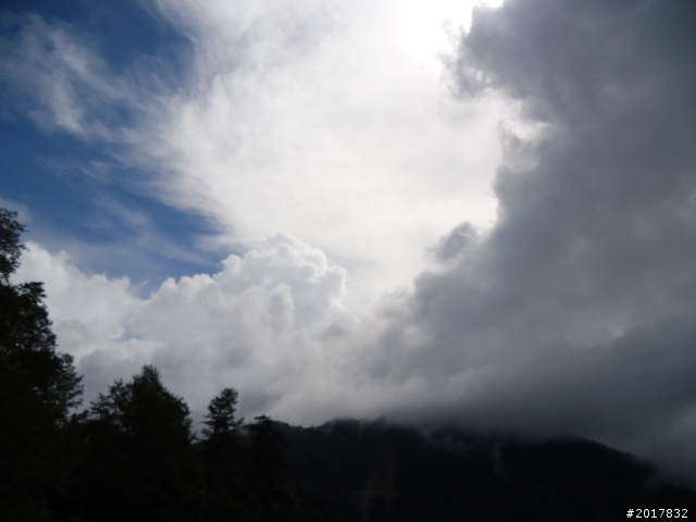 2012-8-12-13塔塔加麟趾山古道逍遙遊