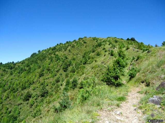 2012-8-12-13塔塔加麟趾山古道逍遙遊