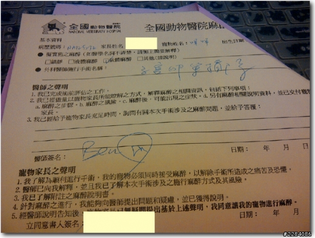 貓咪認養記，故事未完...需要大家協助完成 ! ( 未結束的Ending )