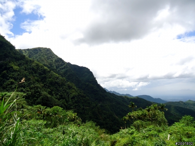 2012-8-12-13塔塔加麟趾山古道逍遙遊