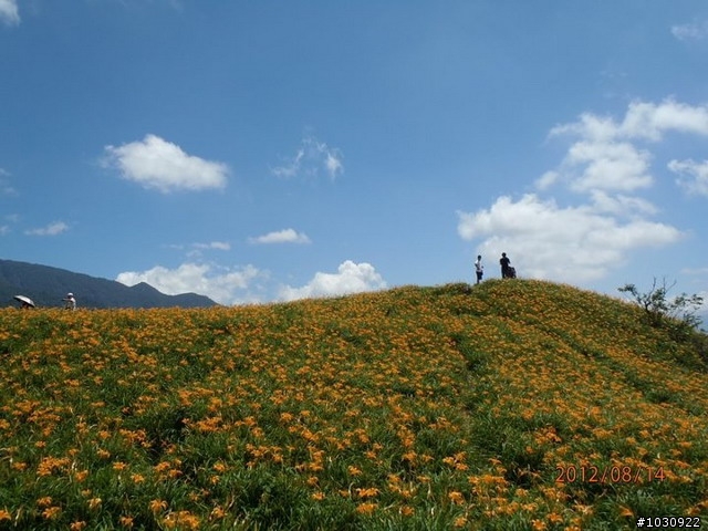 [遊記] 花蓮三日遊 慕谷慕魚+六十石山 (8/12-8/14)