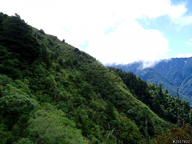2012-8-12-13塔塔加麟趾山古道逍遙遊
