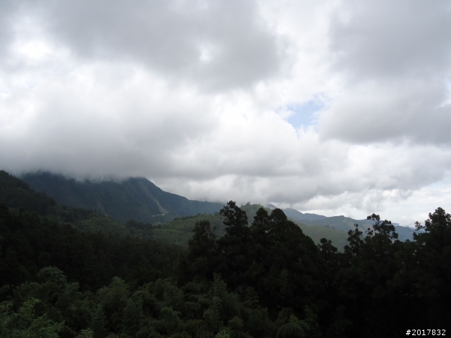 2012-8-12-13塔塔加麟趾山古道逍遙遊