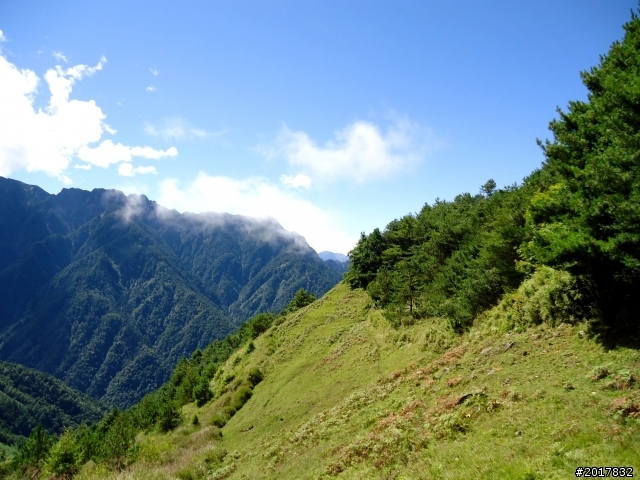 2012-8-12-13塔塔加麟趾山古道逍遙遊