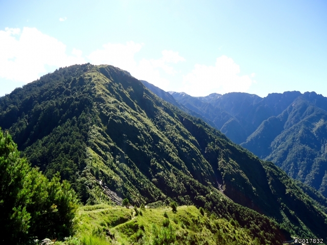 2012-8-12-13塔塔加麟趾山古道逍遙遊