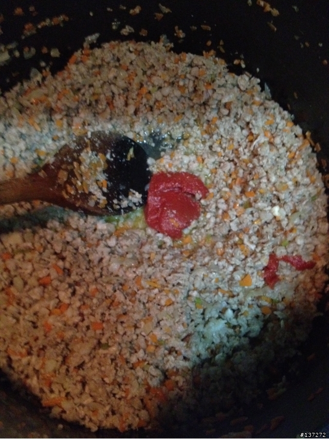 Ragu' alla bolognese 義大利肉醬