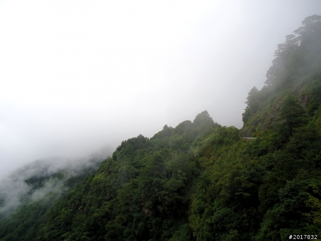 2012-8-12-13塔塔加麟趾山古道逍遙遊