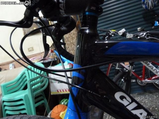 GIANT ANYROAD 1 & AVAIL 不專業開箱