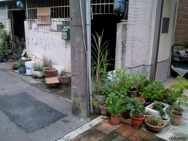 第一次車禍竟然是自撞