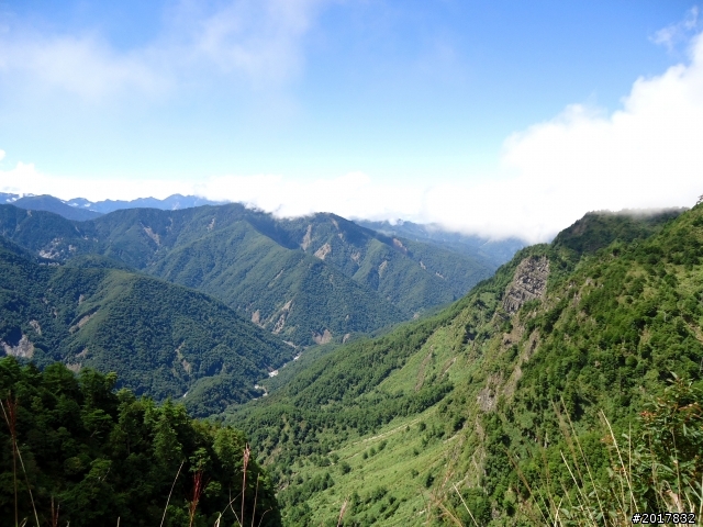 2012-8-12-13塔塔加麟趾山古道逍遙遊
