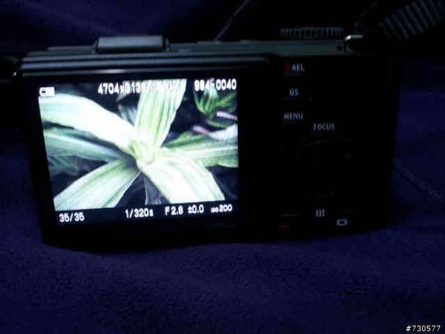 DP2Merill简单开箱