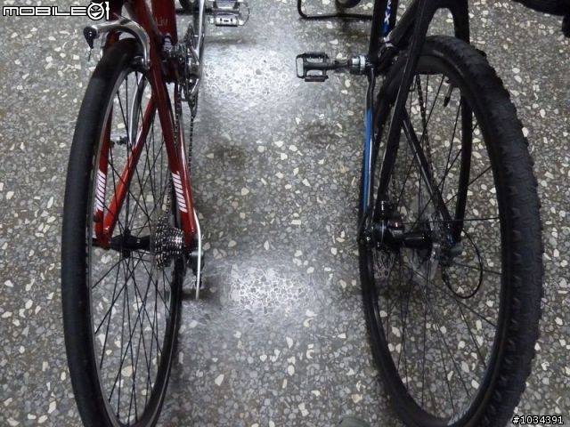 GIANT ANYROAD 1 & AVAIL 不專業開箱