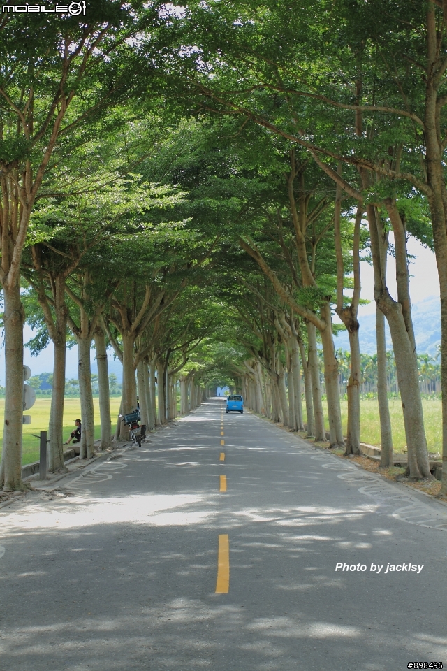 龍田村