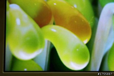 COWON Android DAP高階款Pleune A5重裝登場