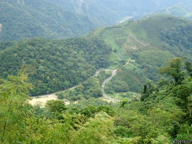 2012-8-12-13塔塔加麟趾山古道逍遙遊