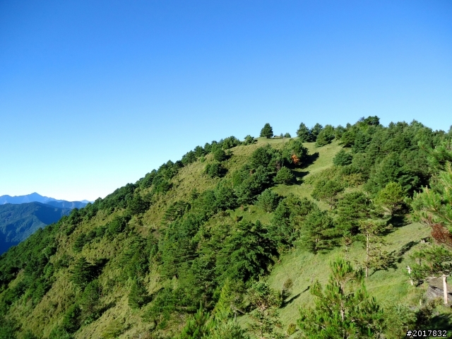 2012-8-12-13塔塔加麟趾山古道逍遙遊