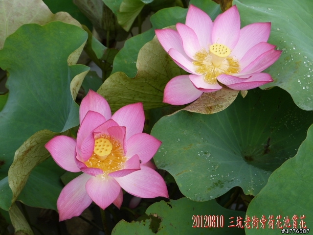 20120810 羅馬公路之旅
