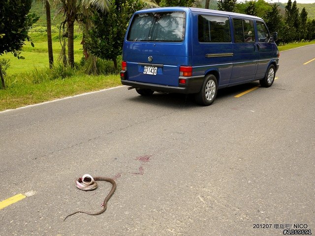 [環島分享]輕鬆騎,放鬆玩,台灣真的很美!(圖多)