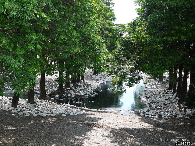 [環島分享]輕鬆騎,放鬆玩,台灣真的很美!(圖多)