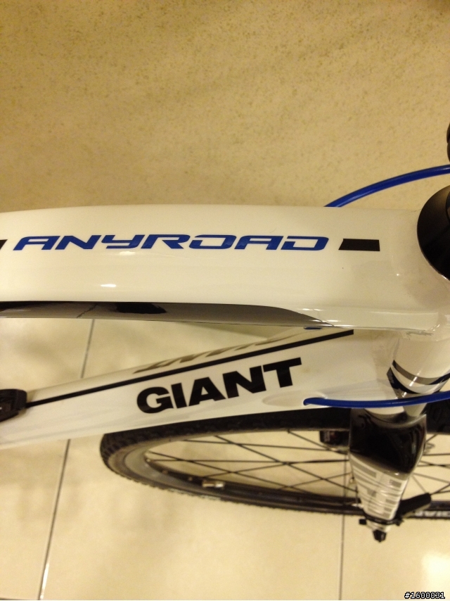 GIANT ANYROAD2