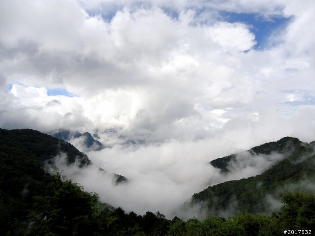 2012-8-12-13塔塔加麟趾山古道逍遙遊