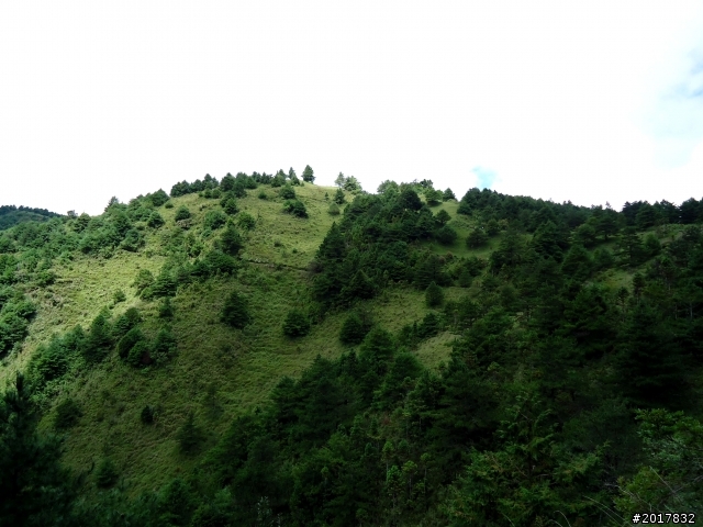 2012-8-12-13塔塔加麟趾山古道逍遙遊