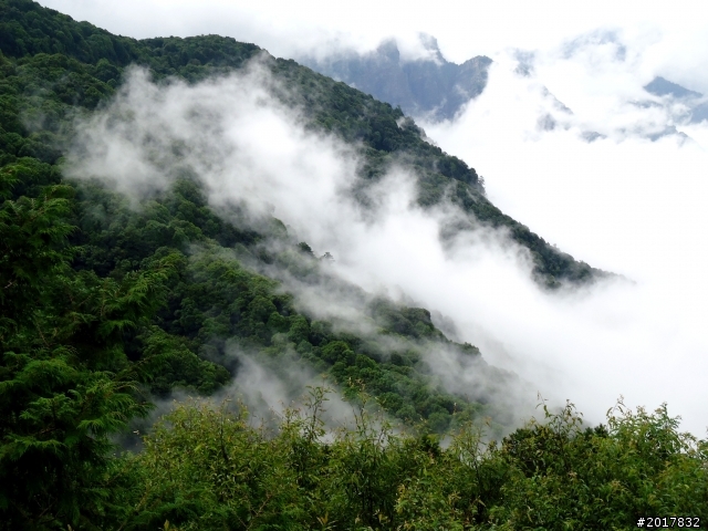 2012-8-12-13塔塔加麟趾山古道逍遙遊