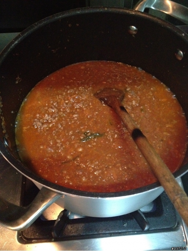 Ragu' alla bolognese 義大利肉醬