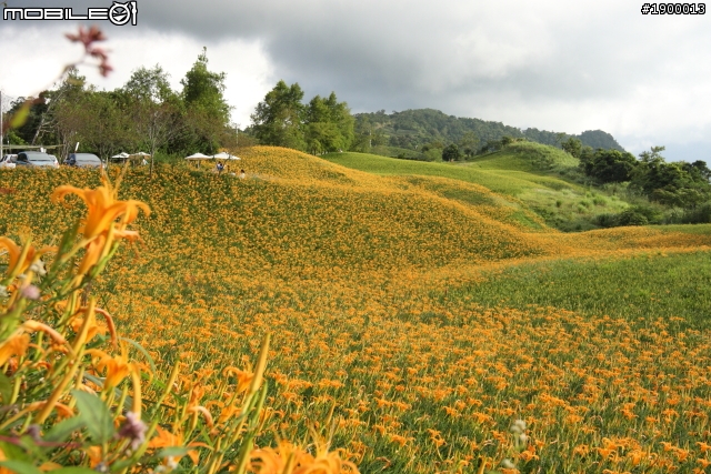 Fiesta 免費開回家 24小時Fun一夏  之花東篇 (赤柯山.金樽遊憩區 鹿野高台 知本 )