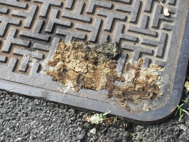 聖遺物保護研究協會籌備中[0806更新]