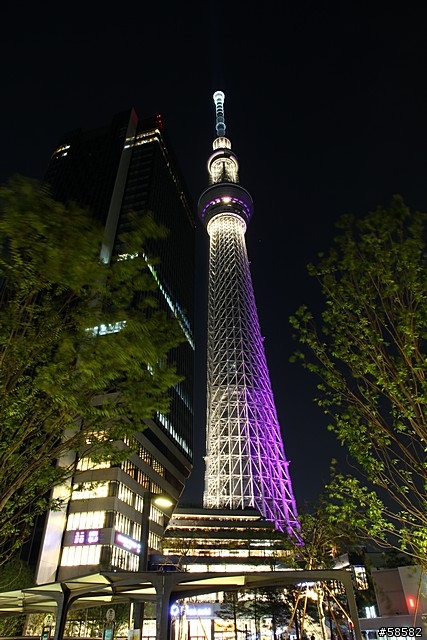 550D+15-85 遊東京相片簿 (圖多)