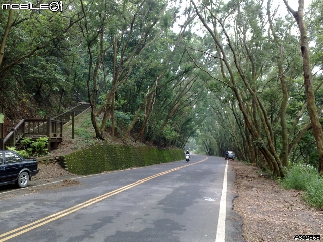 環化練習曲 迷航到深山 "林內"