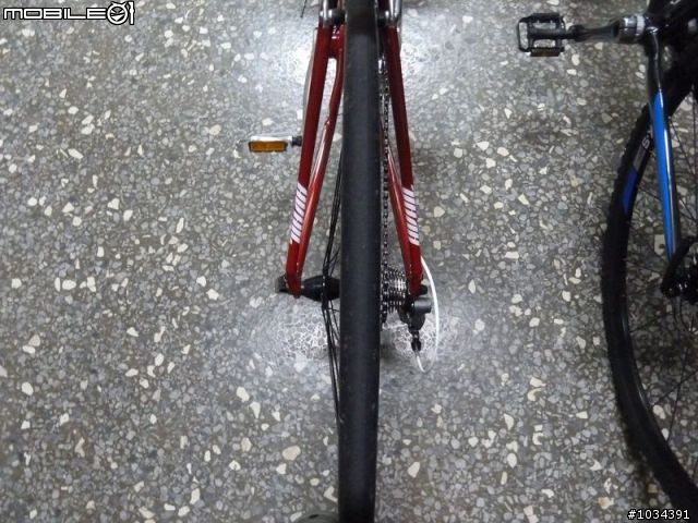 GIANT ANYROAD 1 & AVAIL 不專業開箱