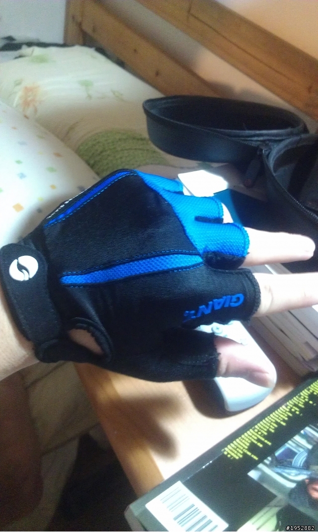 【分享】Giant Speed 1