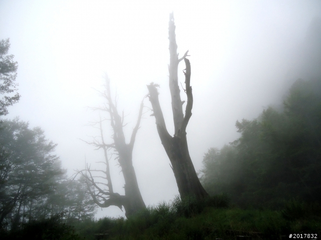 2012-8-12-13塔塔加麟趾山古道逍遙遊