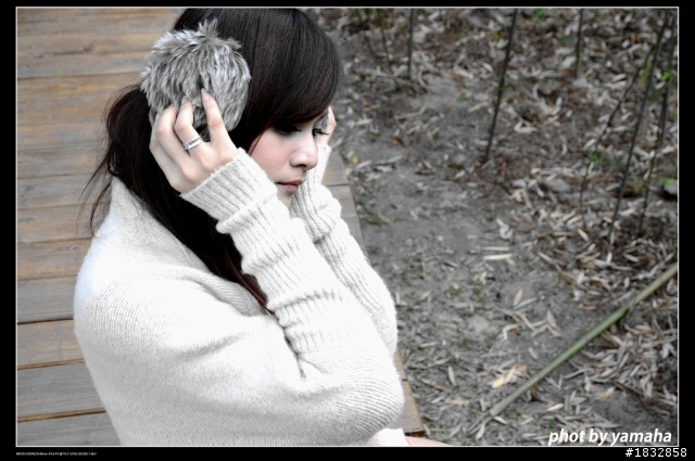 購入D5000兩周年''