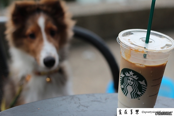 喜樂蒂 - 小屁孩滴弟遊日月潭去~~