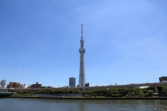 550D+15-85 遊東京相片簿 (圖多)