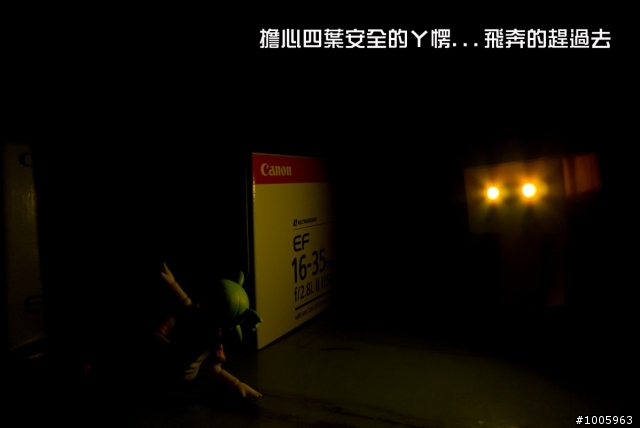 Canon EOS 5D MARK III開箱文之四葉與阿愣尋寶記