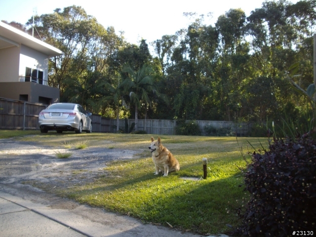 Byron Bay 拜訪表姊的新居