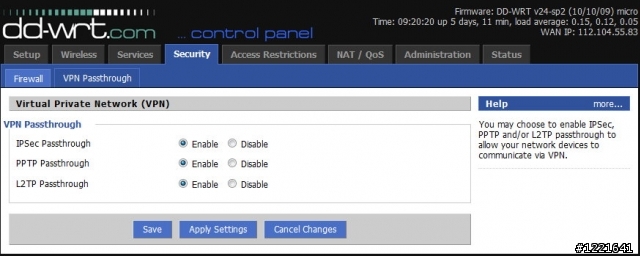 Asus WL-520gc 刷DD-WRT後無VPN ???