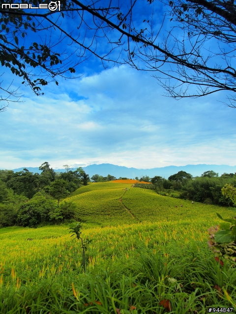E-pl2二訪海盜啤酒桶熱氣球與我的花東盛夏之花!<圖多>