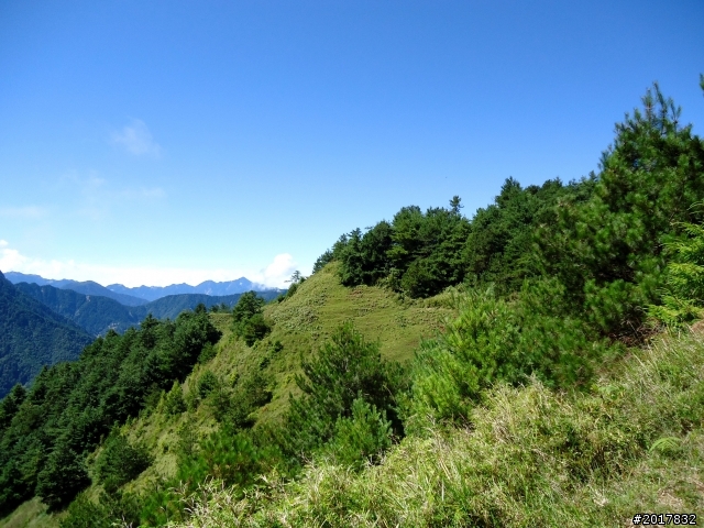 2012-8-12-13塔塔加麟趾山古道逍遙遊