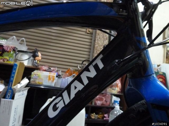 GIANT ANYROAD 1 & AVAIL 不專業開箱